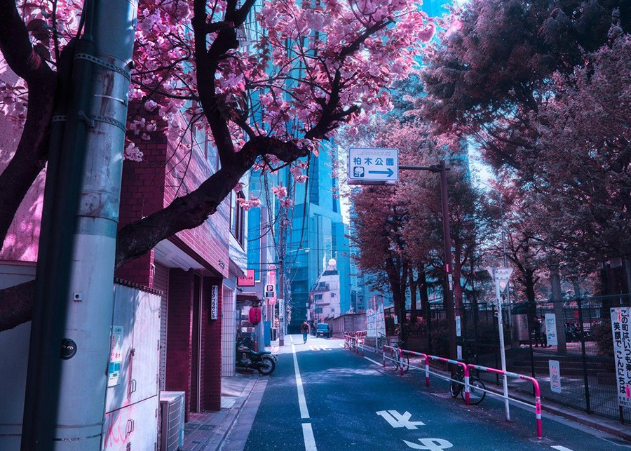 What's the prettiest City in Japan?